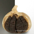 Professional Top Quality Black Garlic Export